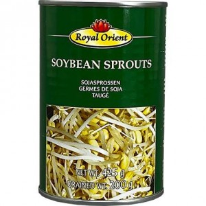 黄豆芽罐头  ROYAL ORIENT Soybean Sprouts in Water 425g 