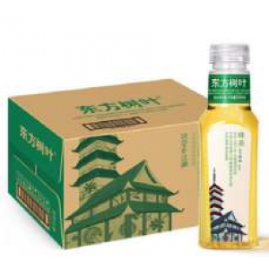 东方树叶绿茶 Green Tea 500ml 