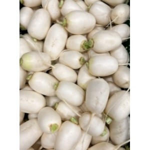 小白萝卜 Mini White Radish/  Pieni Valkoinen retiisi 1kg价格 （多退少补）
