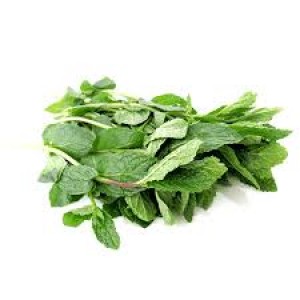  Mint 新鲜薄荷 100g