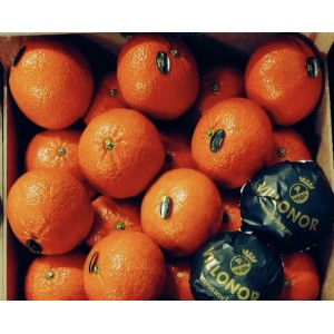 盒装橘⼦ Tangerine 1kg