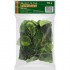  ASIAN CHOICE 泰国青柠叶 Kaffir Lime Leaves 100g