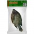 ASIAN CHOICE罗非鱼 ASIAN CHOICE Tilapia G&S IWP 800+ （需称重）