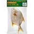 ASIAN CHOICE 冷冻鲳鱼 ASIAN CHOICE Golden Pomfret WR IWP 600+ 1kg （需称重）