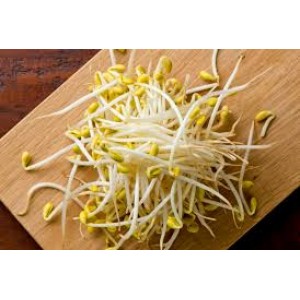 黄豆芽 Soy Bean Sprouts 500g