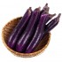 ⻓茄⼦ Chinese Eggplant (Spain) 500g 称重