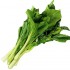 西班牙短菜心 Mini Choi Sam 500g