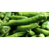 袋装青辣椒 Green pepper 400g