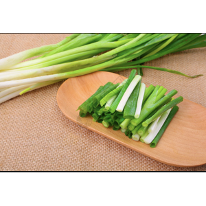 小葱 Spring onion