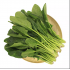 菠菜 Spinach (ES) 一把