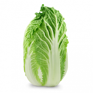 大白菜 1kg价格 一颗起卖 Chinese cabbage/Kiinankaali   (多退少补)（不邮寄）
