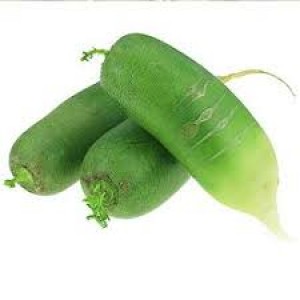 青萝卜 Green Oriental Radish /Vihreä retiisi kg